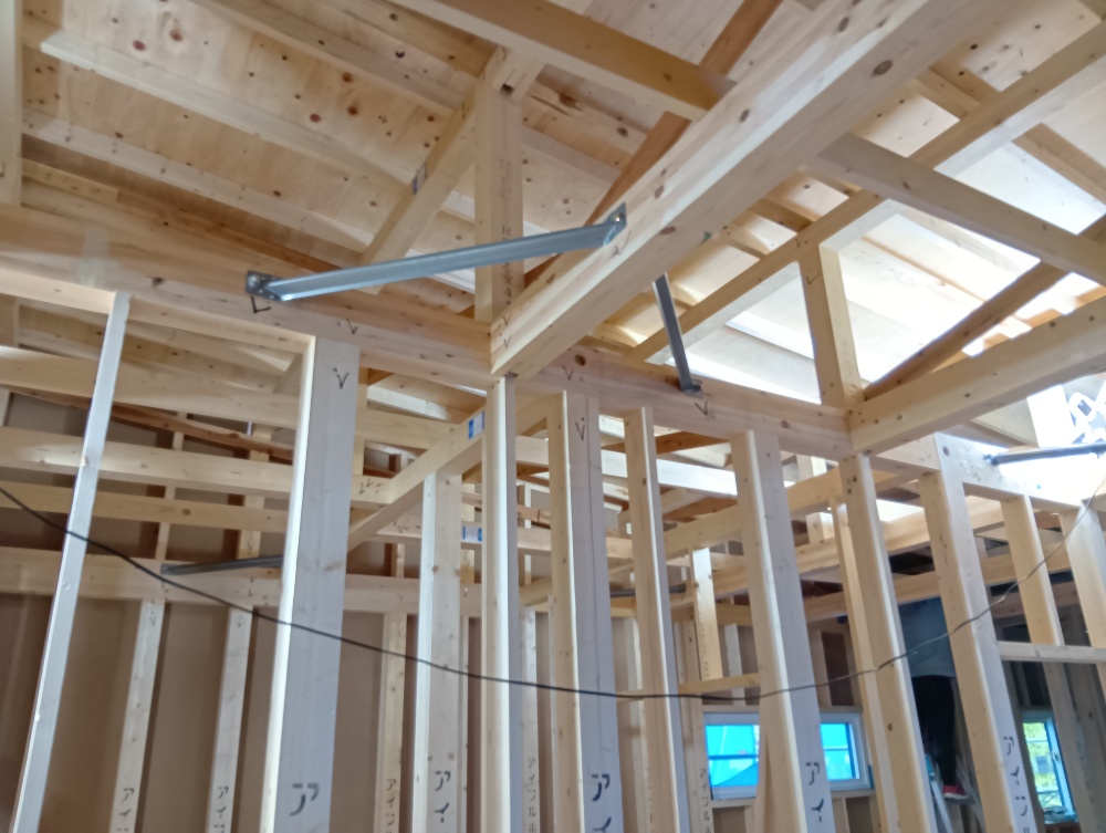 躯体検査を行いました。